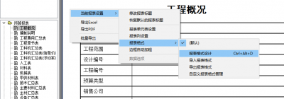 报表格式设计